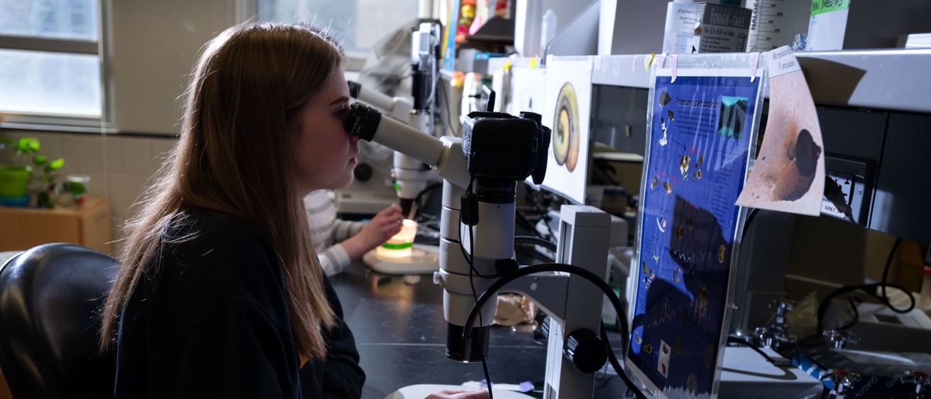 A person looking into a microscope in the Neiman lab